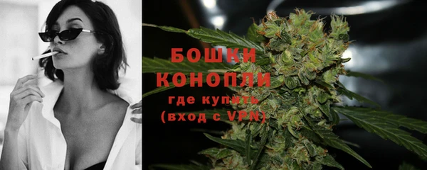 прущие грибы Переславль-Залесский