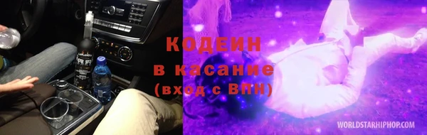 хмурый Абаза