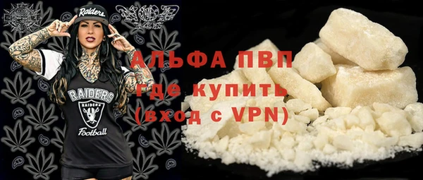 прущие грибы Переславль-Залесский