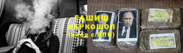 хмурый Абаза