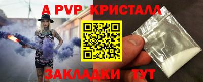 крисы Славгород