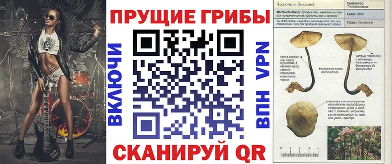 blacksprut ссылка  Холмск  Псилоцибиновые грибы Psilocybe 