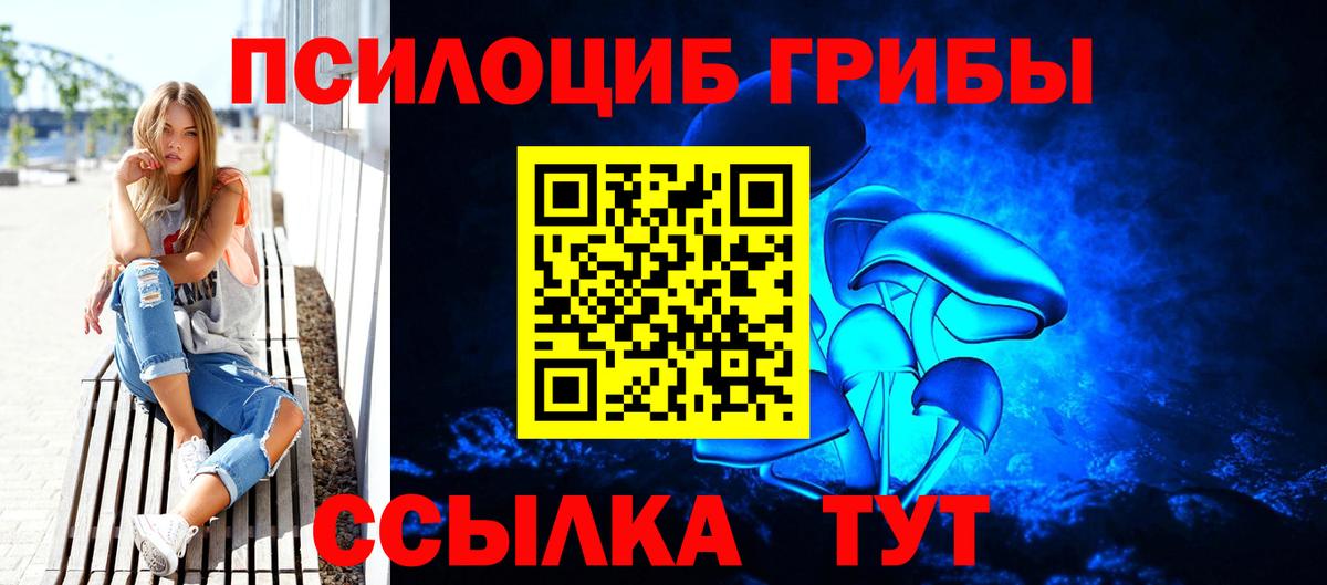 Галлюциногенные грибы прущие грибы Холмск