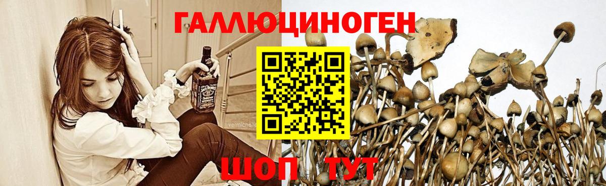 Мефедрон Холмск